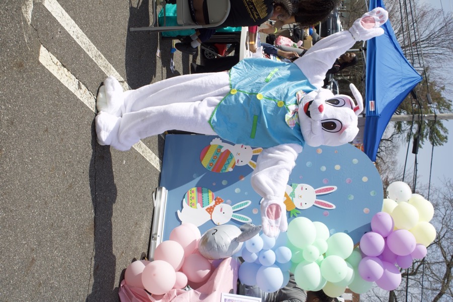 Easter bunny at a community festival